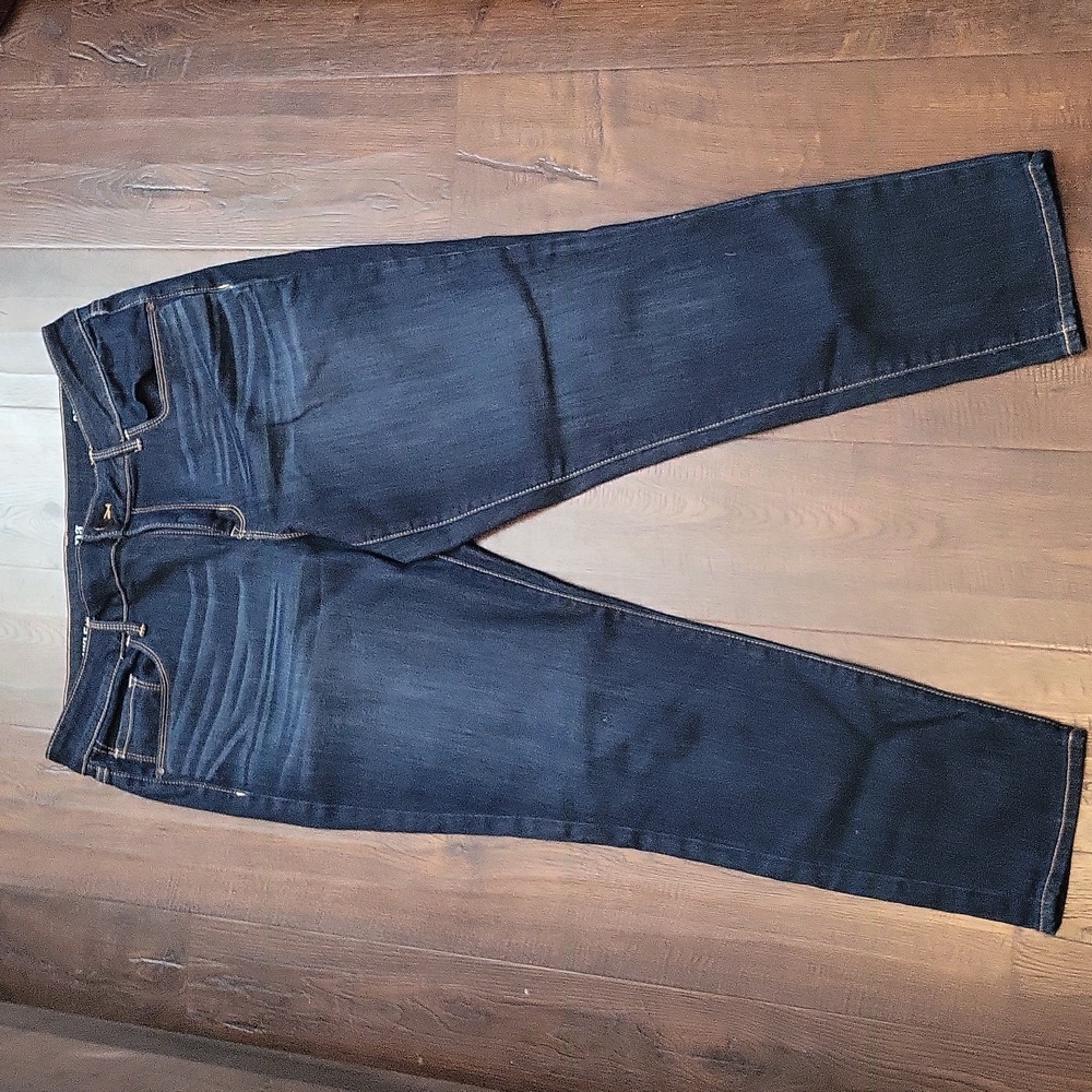 Ana Plus Size Dark Denim Skinny Ankle Jean